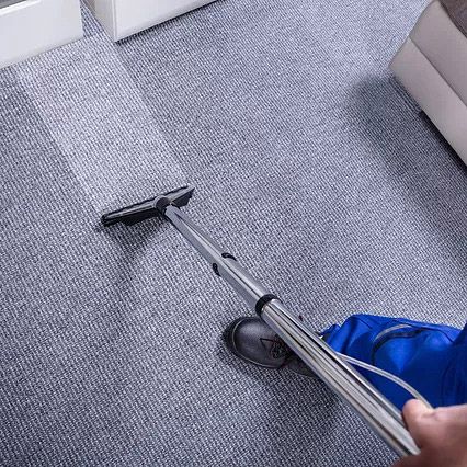 Carpet Cleaning In The Bronx Ny